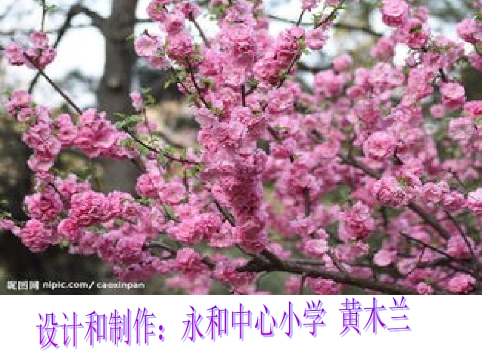 微课《桃花源记》设计黄木兰_第1页