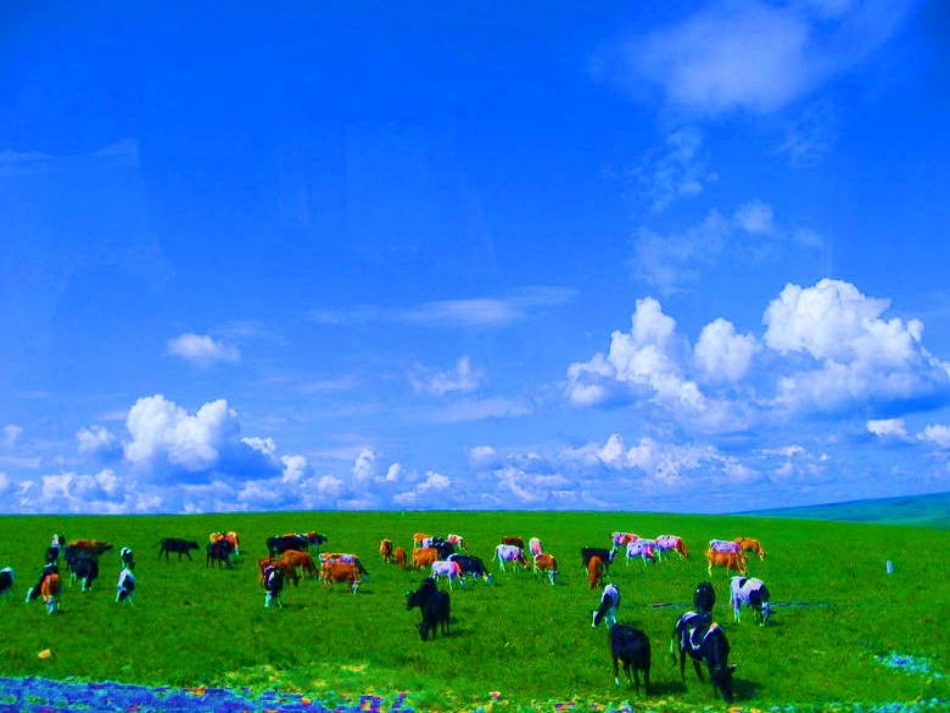 看图写话《我的家乡》课件_第1页