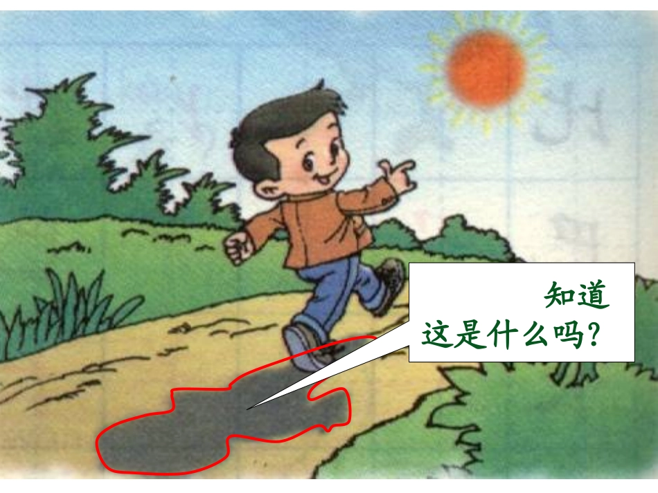 一年级语文上册人教版-《影子》_第2页