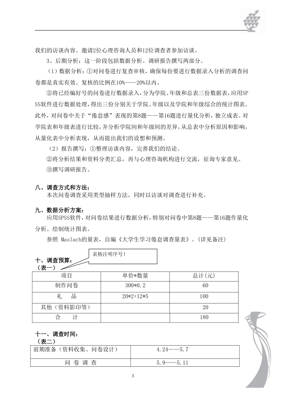 调查方案设计模板_第3页