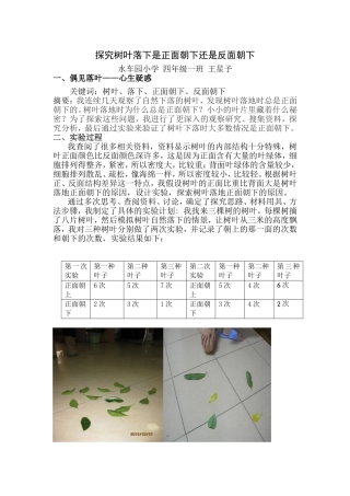 探究树叶落下是正面朝下还是反面朝下王星予课题研究