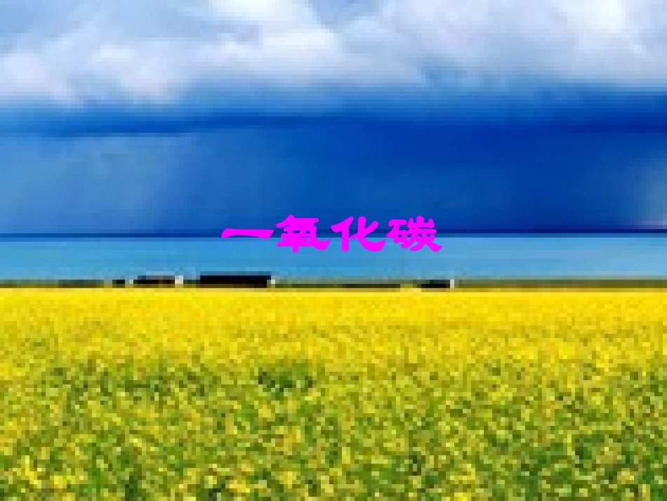 一氧化碳课件_第1页