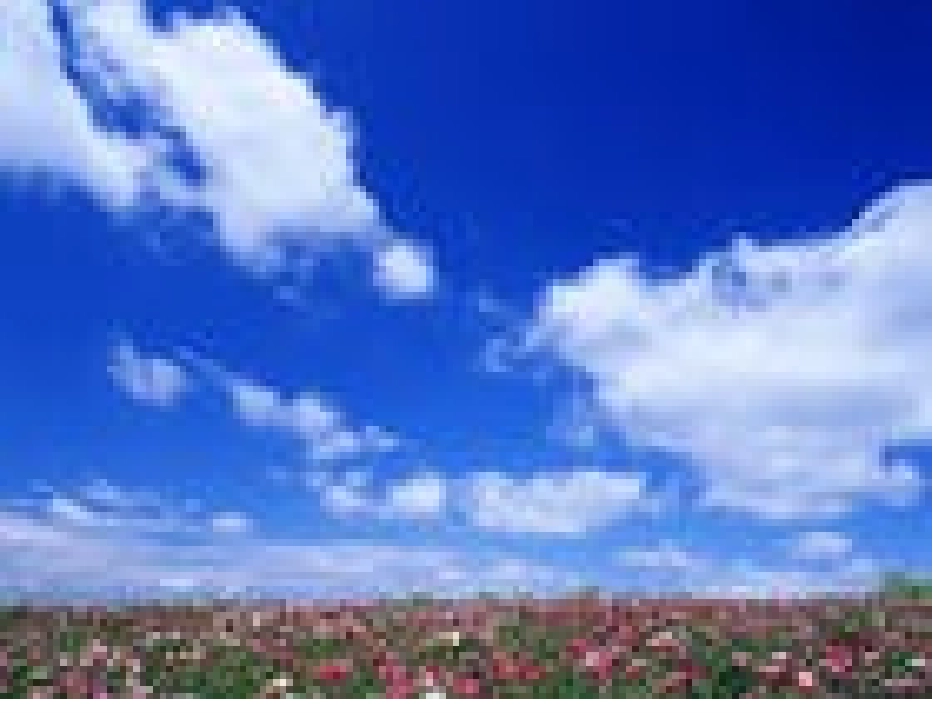 一氧化碳课件_第2页