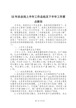 XX年农业局上半年工作总结及下半年工作要点报告