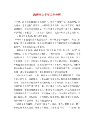 政研室上半年工作分析 