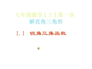 锐角三角函数课件第一课时经典课件