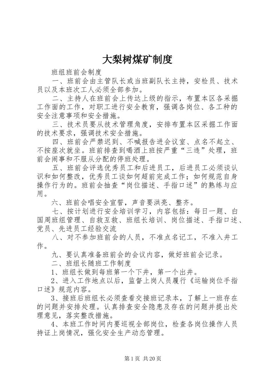 大梨树煤矿制度_第1页