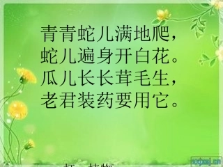 我要的是葫芦 (2)