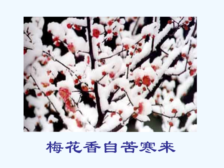 七年级语文上册 第四课《紫藤萝瀑布》课件 人教新课标版_第2页