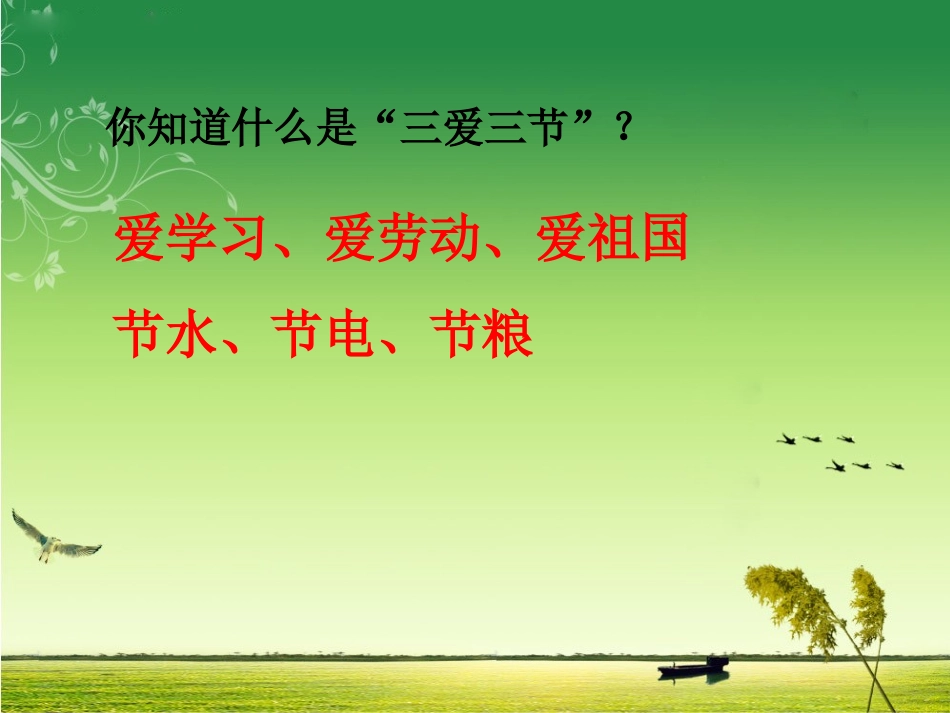 三爱三节主题班会（陈江平）_第3页