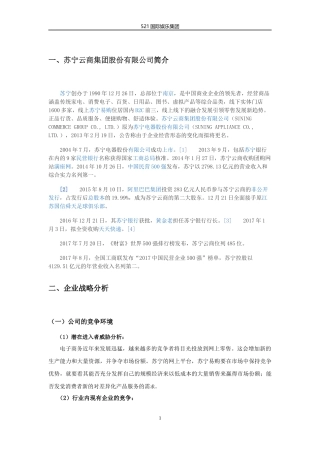 苏宁财务报表分析
