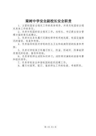 梁树中学安全副校长安全职责