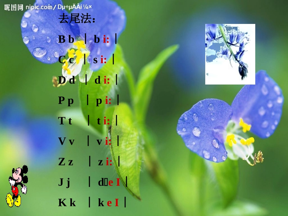 七年级英语英语音标_第2页