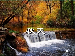 秋天课件 (3)