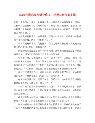2024年湖北高考满分作文把握三角形的支撑 