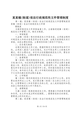 某某镇(街道)依法行政规范性文件管理制度