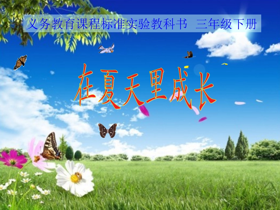 在夏天里成长_第2页