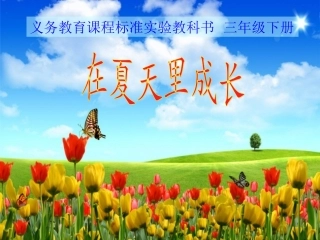 在夏天里成长