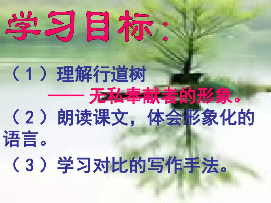 七年级语文上册 《行道树》教学课件 人教新课标版_第2页