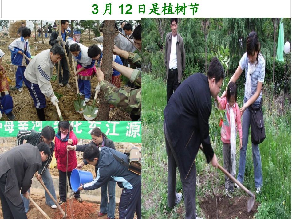 三年级下册数学第二单元《笔算除法》例1、(1)_第2页