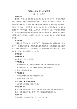 《观察一棵植物》教学设计