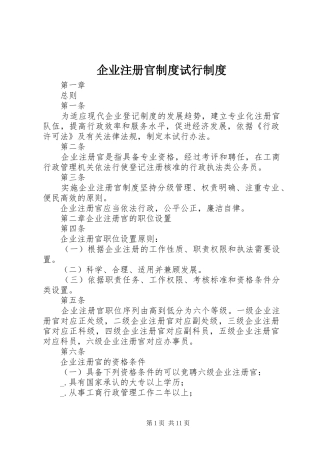 企业注册官制度试行制度