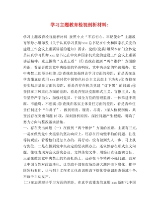 学习主题教育检视剖析材料- 