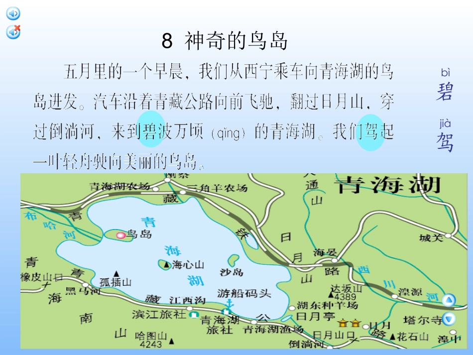 神奇的鸟岛正式_第2页
