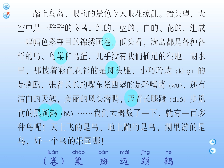 神奇的鸟岛正式_第3页