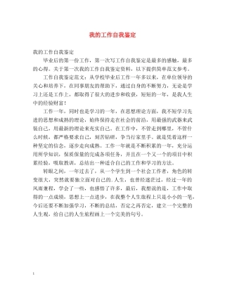 我的工作自我鉴定 (2) 