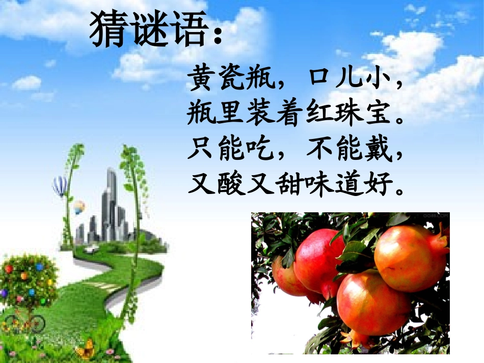 新石榴第一课时1(2)_第1页