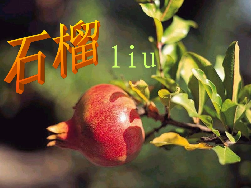 新石榴第一课时1(2)_第2页