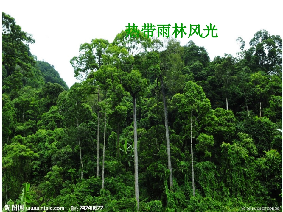 培养亲社会情感_第2页