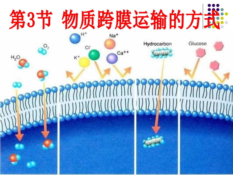 跨膜运输的方式_第1页