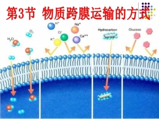 跨膜运输的方式