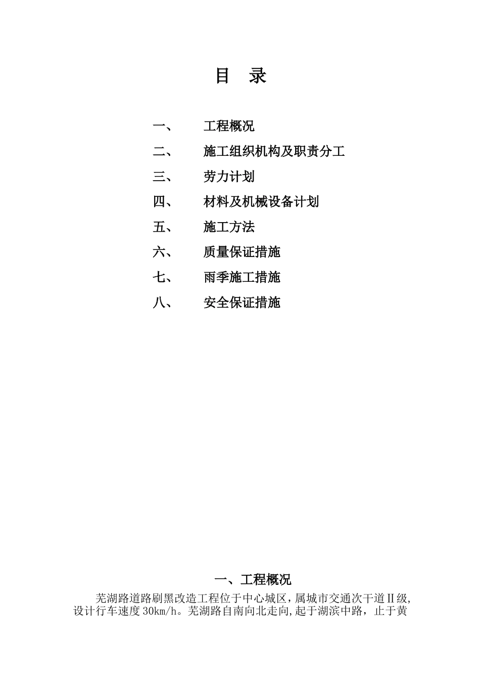 市政混凝土路面专项施工方案_第2页