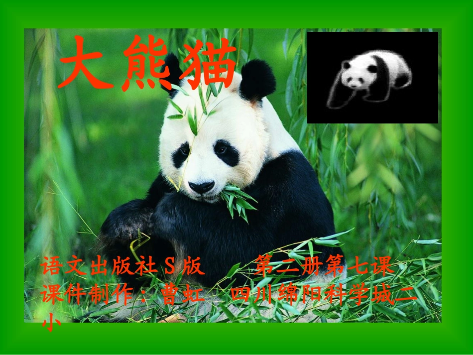 小学语文S版一年级下册《大熊猫》课件_第1页