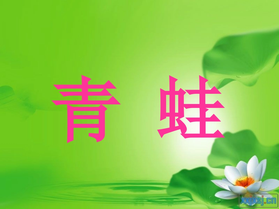 形声字、形近字教学_第3页