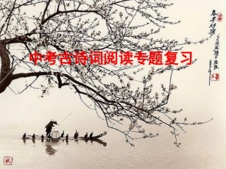中考语文复习课件 古诗词阅读