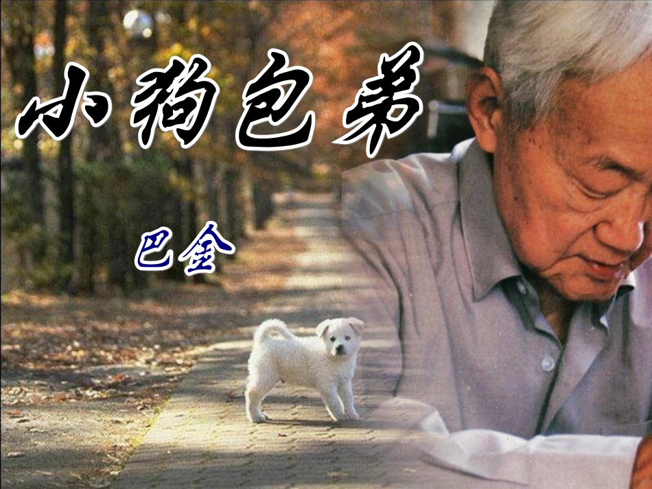 小狗包弟 (5)_第1页