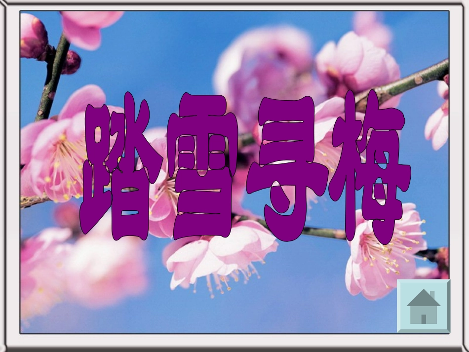 踏雪寻梅课件_第1页