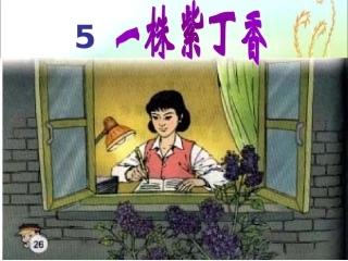 一株紫丁香2