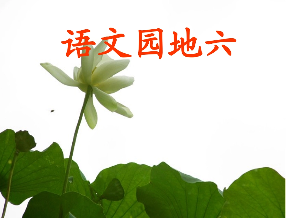 三年级上语文园地六2_第1页