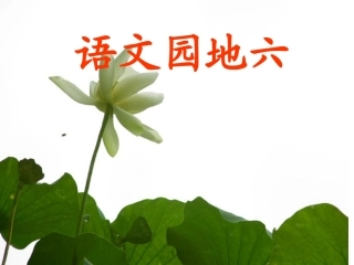 三年级上语文园地六2