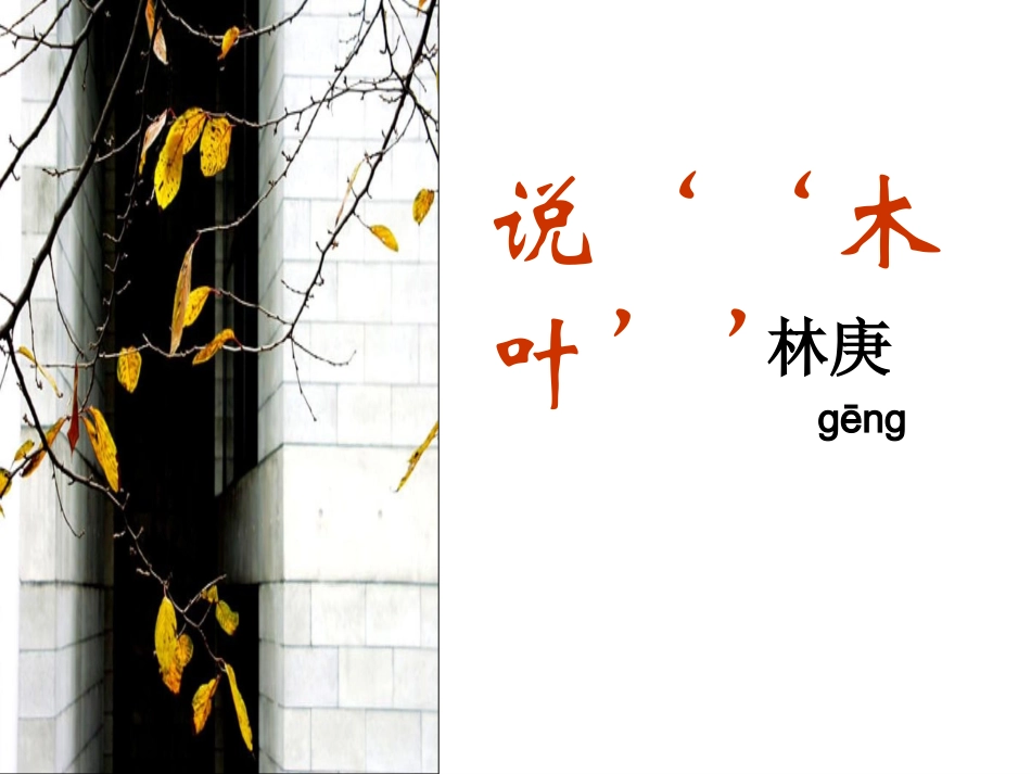 说木叶_优质课件(2)_第1页