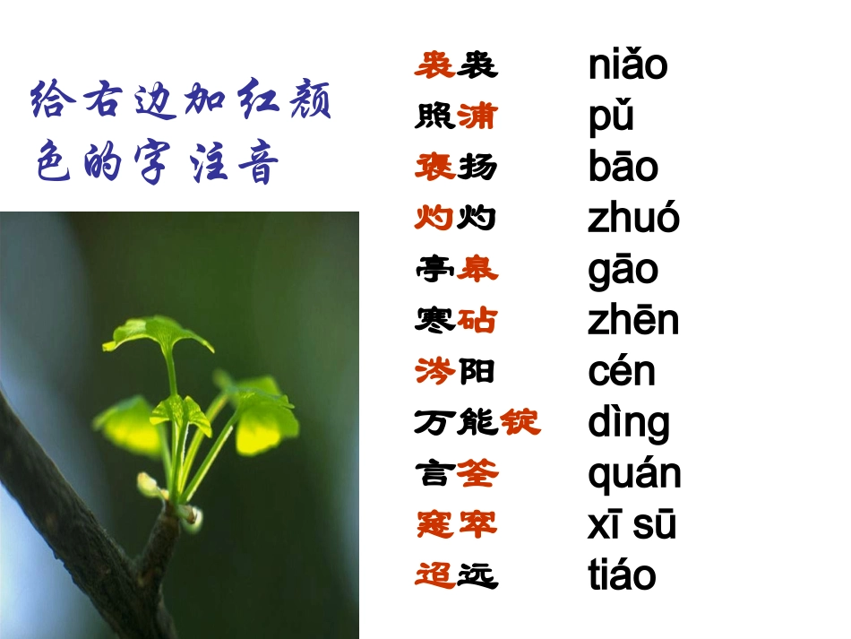 说木叶_优质课件(2)_第3页