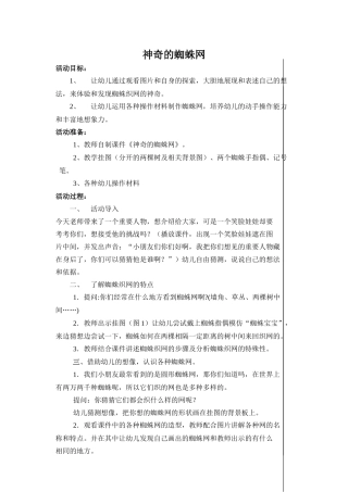 神奇的蜘蛛网