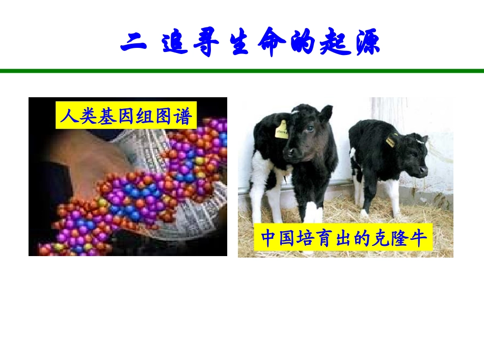 追寻生命的起源_第1页