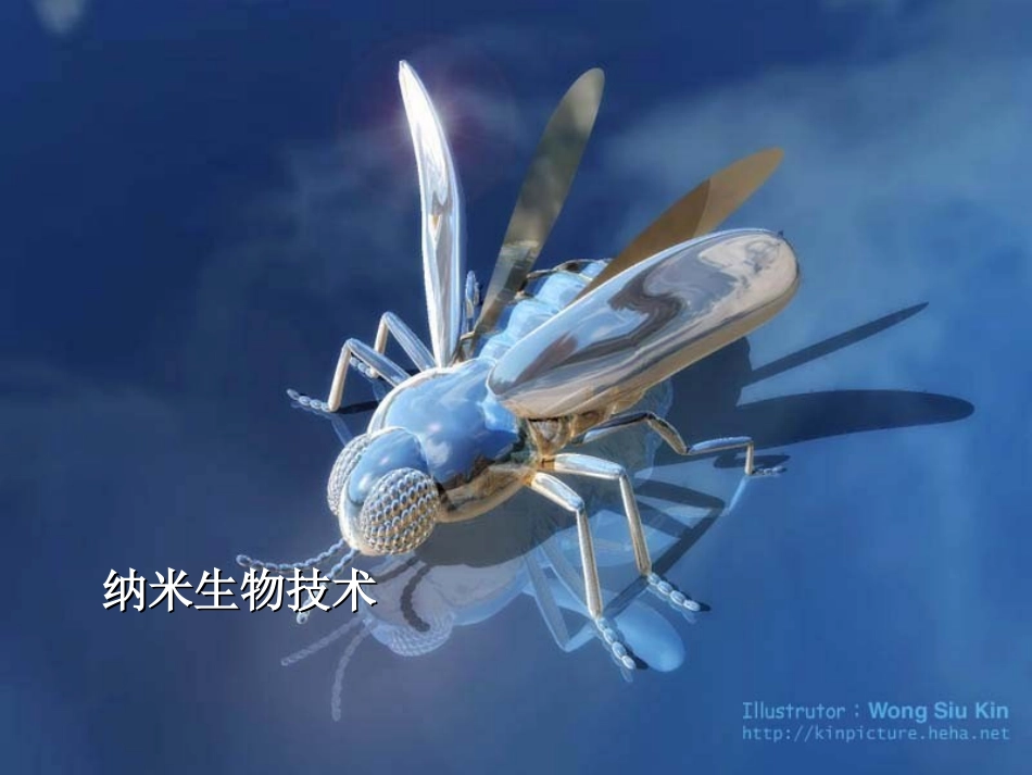 七年级语文下册 《神奇的纳米》课件 鄂教版_第3页