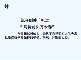 七年级语文上册《大树和我们的生活》课件 上海五四制版
